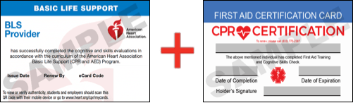 Sample American Heart Association AHA BLS CPR Card Certification and First Aid Certification Card from CPR Certification El Paso