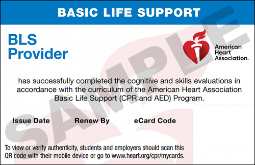 Sample American Heart Association AHA BLS CPR Card Certification from CPR Certification El Paso